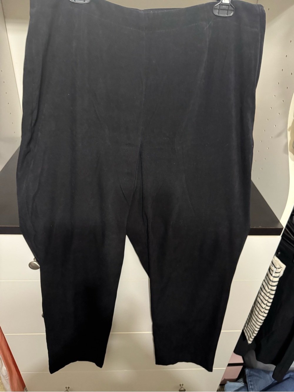 Sag Harbor Black Pull-On Ponte Pants